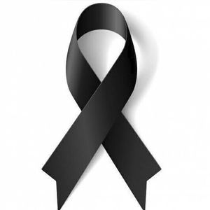 Meet your Posher, Lizbeth